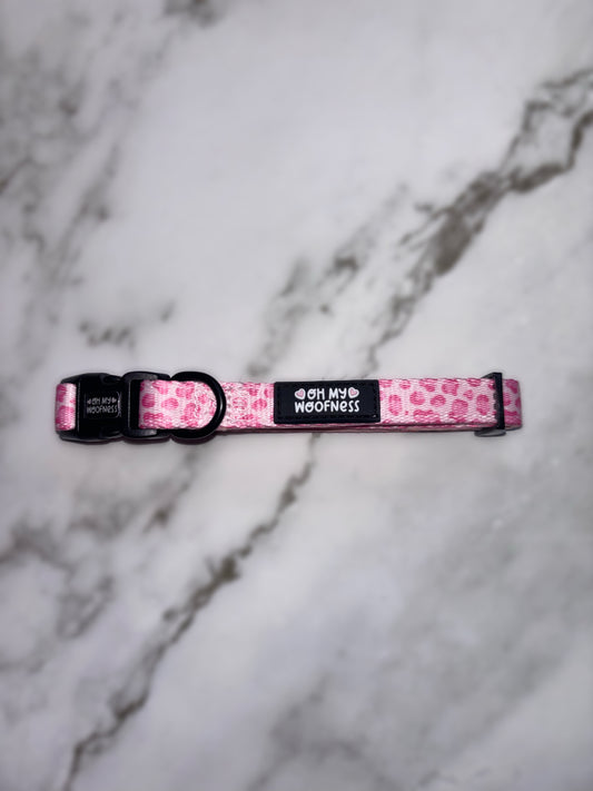 Walk on the Wild Side Collar