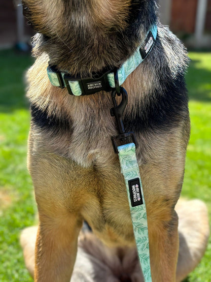 Willow Wanders Collar