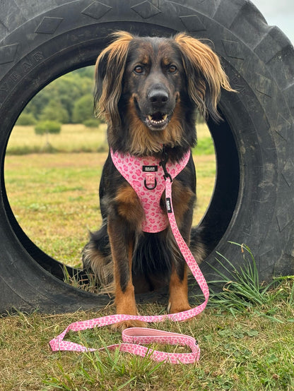 Walk on the Wild Side Bundle - SAVE over 15%!