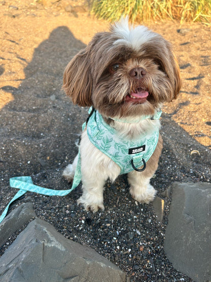 Willow Wanders Bundle - SAVE over 15%!