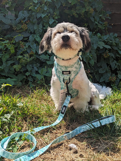 Willow Wanders Bundle - SAVE over 15%!