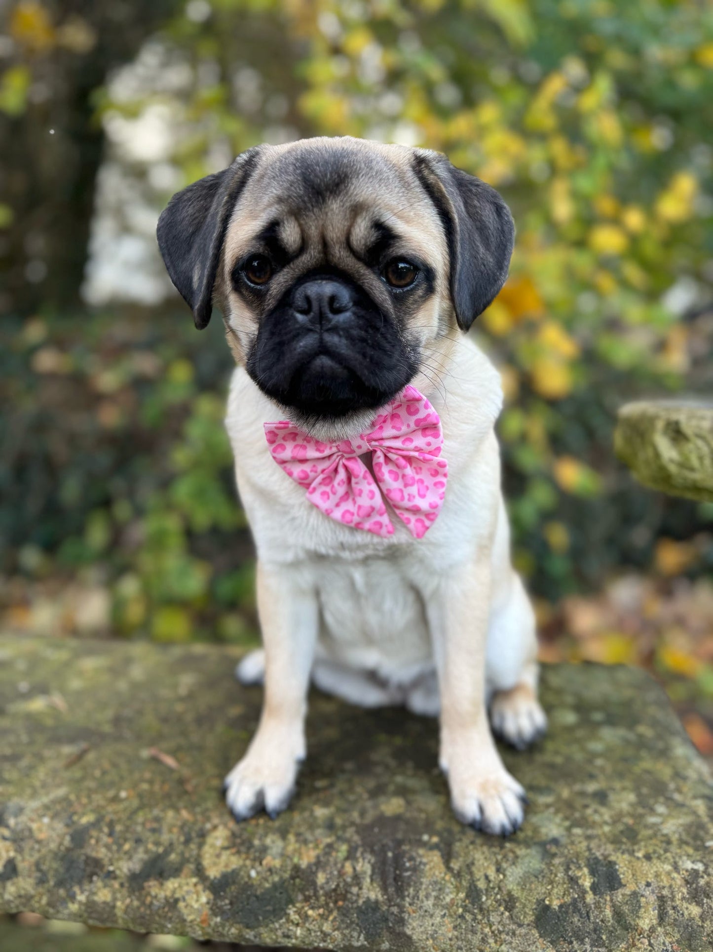 Walk on the Wild Side Sailor Bow