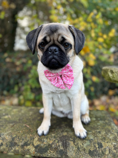 Walk on the Wild Side Sailor Bow