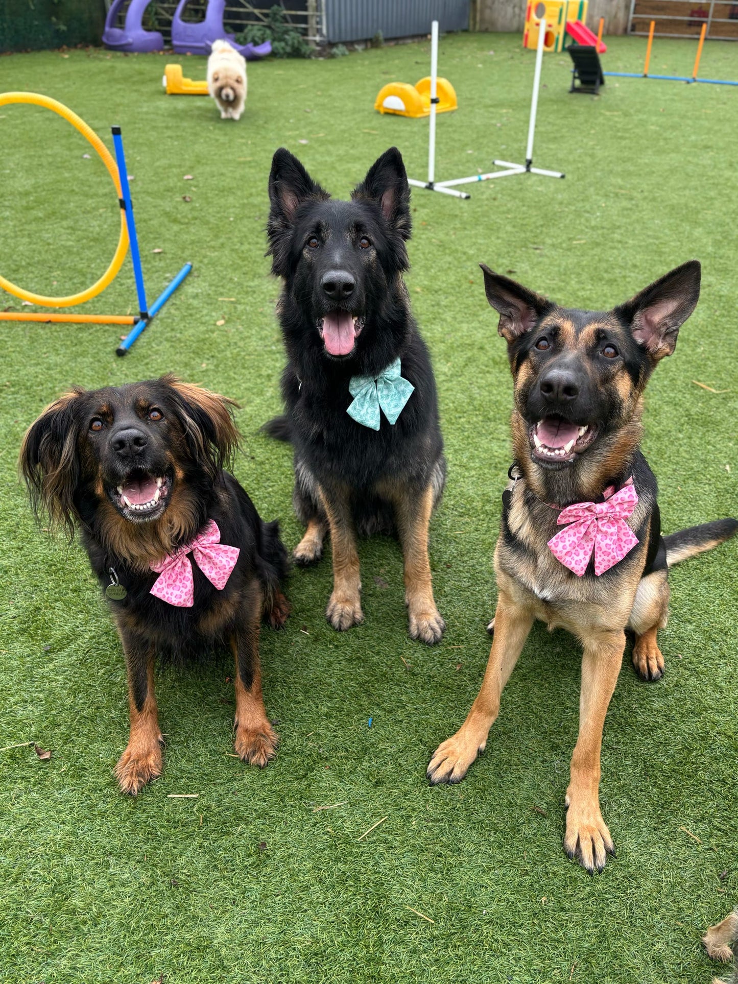 Willow Wanders Sailor Bow