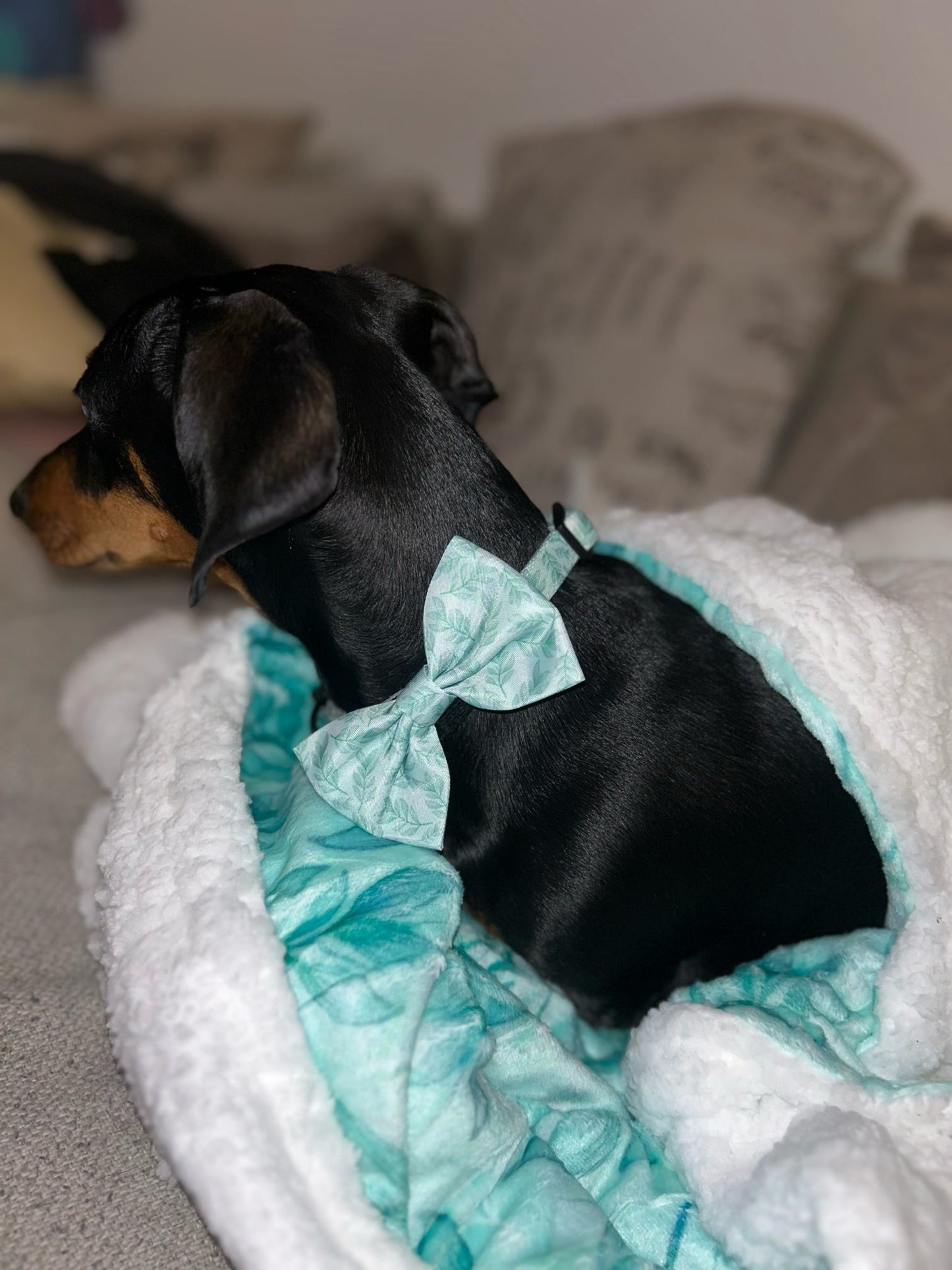 Willow Wanders Bow Tie