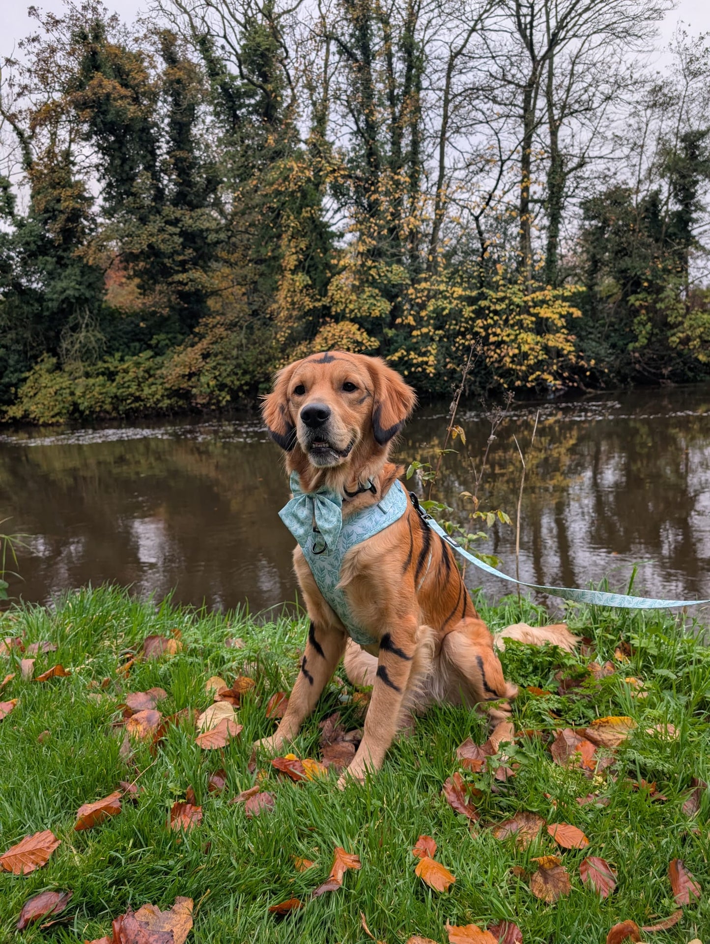 Willow Wanders Sailor Bow