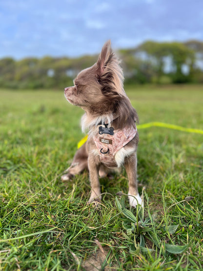 Toffee Trails Harness