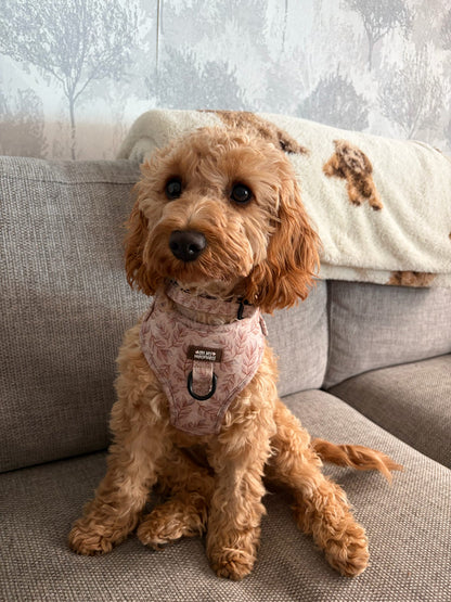 Toffee Trails Harness