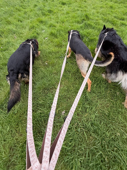 Toffee Trails Lead