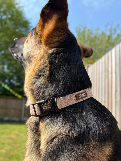 Toffee Trails Collar