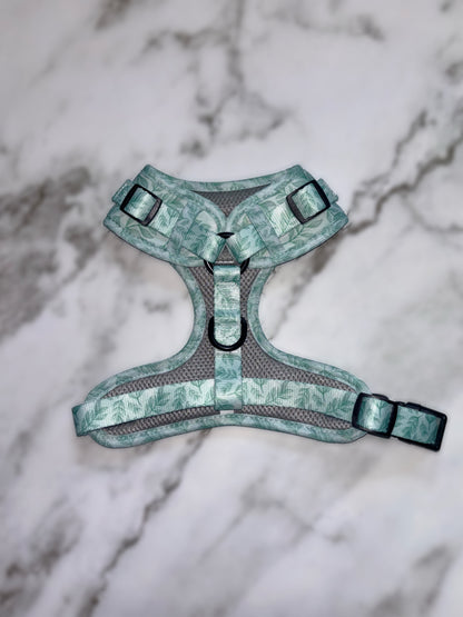 Willow Wanders Harness