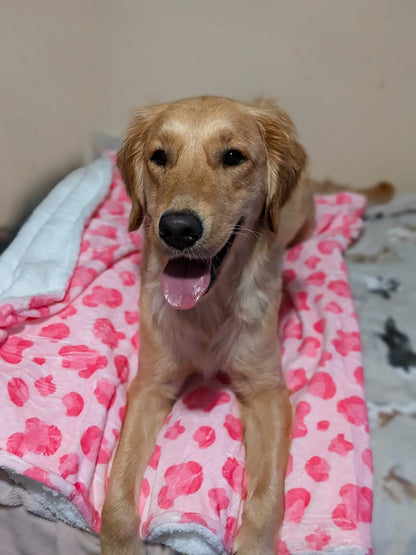 Walk on the Wild Side Blanket