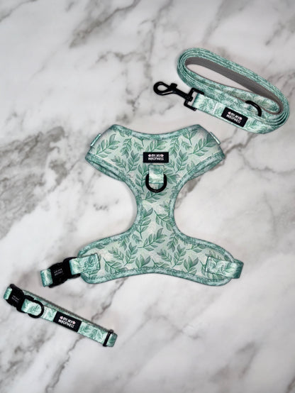 Willow Wanders Bundle - SAVE over 15%!