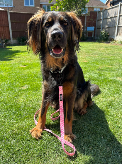 Walk on the Wild Side Lead